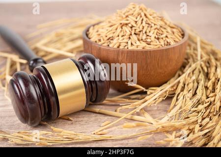 Beurteilen Sie den Hammer mit gutem Getreidreis von der landwirtschaftlichen Farm. Gesetz und Gericht Konzept. Stockfoto