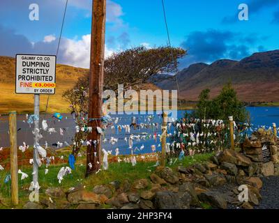 Fairy Thorn Tree, Killar Harbour, County Galway, Irland Stockfoto