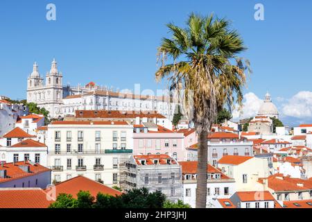 Lissabon Portugal Stadt Reise Ansicht der Alfama Altstadt mit Kirche Sao Vicente de Fora und Palmen Stockfoto