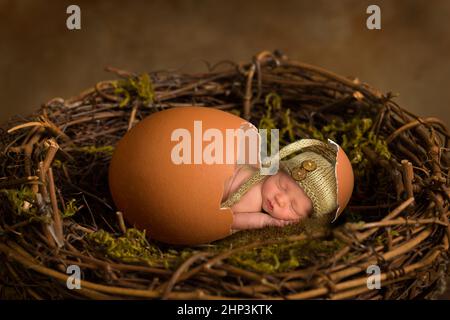 Entzückender kleiner neugeborener Junge von nur 11 Tagen, der in einem Ei schläft und eine Eierschalenmütze trägt Stockfoto