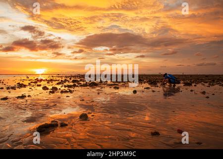 Amateurfotografin, die in der Dämmerung Bilder vom Meer bei Sonnenuntergang fotografiert Stockfoto