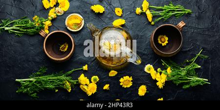 Heilender Blumentee. Teekannen mit Chrysantheme Blumen Tee. Kräutermedizin, Tee zubereiten Stockfoto