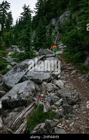 Der Weg auf Mt. Pilchuck, Staat Washington, wurde während der FDR-Präsidentschaft 1933 mit Arbeitskräften der NRA (National Recovery Administration) angezettelt Stockfoto