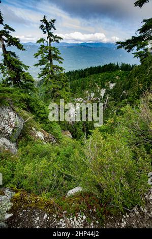 Der Weg auf Mt. Pilchuck, Staat Washington, wurde während der FDR-Präsidentschaft 1933 mit Arbeitskräften der NRA (National Recovery Administration) angezettelt Stockfoto