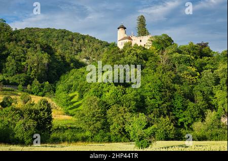 Schloss Birseck bei Arlesheim, Basel-Land, Schweiz. Der Himmel ist immer noch bewölkt, aber die Sonne scheint. Bild aus öffentlichem Boden. Stockfoto