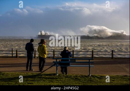 Newhaven Lighthouse, Großbritannien, 18th. Februar 2022. Ein Mitglied der Öffentlichkeit sitzt und beobachtet, wie die Wellen am Nachmittag die Meeresmauer des Newhaven Lighthouse treffen, während der Sturm Eunice an die Südküste Englands in West Sussex denkt. Quelle: Steven Paston/Alamy Live News Stockfoto