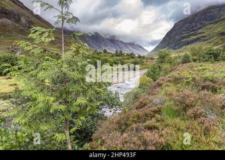 Brütende Wolken hängen über dem Fluss Coe im Tal von Glencoe, dem Ort des Massakers von 1692, Highland, Schottland, Großbritannien Stockfoto