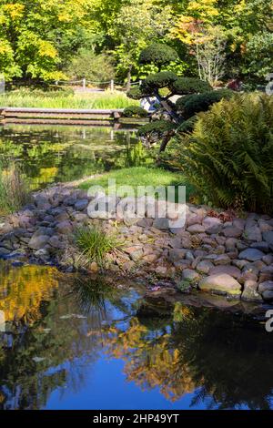 Japanischer Garten im Szczytnicki Park, exotische Pflanzen, Breslau, Polen. Der Japanische Garten wurde 1909-1913 gegründet Stockfoto