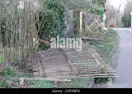 Station Lane, Godalming. 18th. Februar 2022. Hurrikan Force Winds trafen heute die Heimatländer, als Sturm Eunace Land machte. Sturmschaden in Godalming in Surrey. Kredit: james jagger/Alamy Live Nachrichten Stockfoto