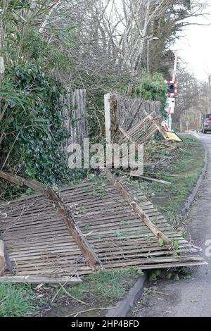 Station Lane, Godalming. 18th. Februar 2022. Hurrikan Force Winds trafen heute die Heimatländer, als Sturm Eunace Land machte. Sturmschaden in Godalming in Surrey. Kredit: james jagger/Alamy Live Nachrichten Stockfoto