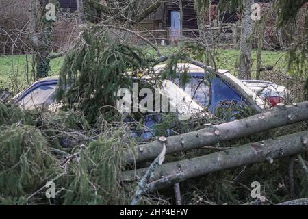 Station Lane, Godalming. 18th. Februar 2022. Hurrikan Force Winds trafen heute die Heimatländer, als Sturm Eunace Land machte. Sturmschäden in Godalming in Surrey, als fallende Bäume Autos beschädigten. Kredit: james jagger/Alamy Live Nachrichten Stockfoto