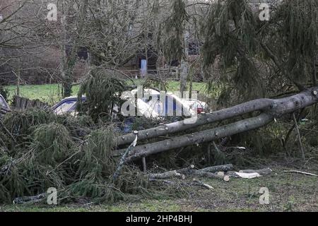 Station Lane, Godalming. 18th. Februar 2022. Hurrikan Force Winds trafen heute die Heimatländer, als Sturm Eunace Land machte. Sturmschäden in Godalming in Surrey, als fallende Bäume Autos beschädigten. Kredit: james jagger/Alamy Live Nachrichten Stockfoto