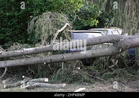 Station Lane, Godalming. 18th. Februar 2022. Hurrikan Force Winds trafen heute die Heimatländer, als Sturm Eunace Land machte. Sturmschäden in Godalming in Surrey, als fallende Bäume Autos beschädigten. Kredit: james jagger/Alamy Live Nachrichten Stockfoto