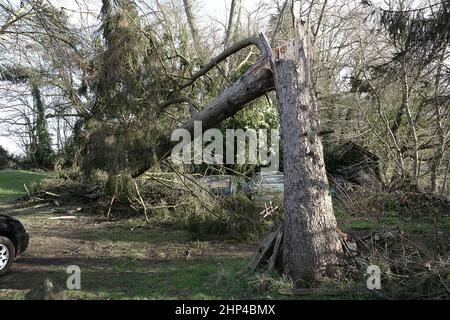 Station Lane, Godalming. 18th. Februar 2022. Hurrikan Force Winds trafen heute die Heimatländer, als Sturm Eunace Land machte. Sturmschäden in Godalming in Surrey, als fallende Bäume Autos beschädigten. Kredit: james jagger/Alamy Live Nachrichten Stockfoto