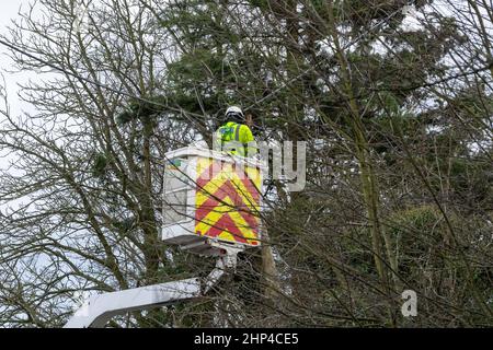 Brentwood, Großbritannien. 18th. Februar 2022. Brentwood Essex 18th Feb 2022 UK Wetter, Sturm Eunice; Straßen geschlossen und Stromleitungen wegen Sturm Eunice in Brentwood Essex Quelle: Ian Davidson/Alamy Live News Stockfoto