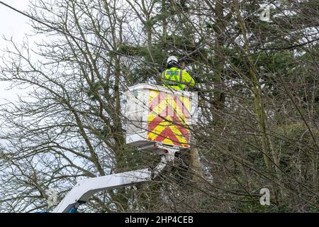 Brentwood, Großbritannien. 18th. Februar 2022. Brentwood Essex 18th Feb 2022 UK Wetter, Sturm Eunice; Straßen geschlossen und Stromleitungen wegen Sturm Eunice in Brentwood Essex Quelle: Ian Davidson/Alamy Live News Stockfoto