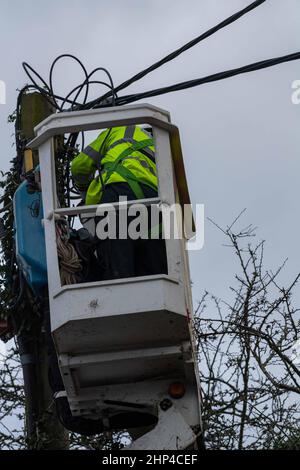 Brentwood, Großbritannien. 18th. Februar 2022. Brentwood Essex 18th Feb 2022 UK Wetter, Sturm Eunice; Straßen geschlossen und Stromleitungen wegen Sturm Eunice in Brentwood Essex Quelle: Ian Davidson/Alamy Live News Stockfoto