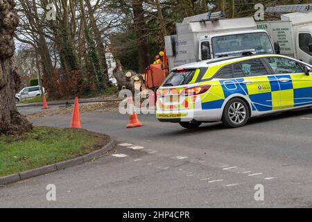 Brentwood, Großbritannien. 18th. Februar 2022. Brentwood Essex 18th Feb 2022 UK Wetter, Sturm Eunice; Straßen geschlossen und Stromleitungen wegen Sturm Eunice in Brentwood Essex Quelle: Ian Davidson/Alamy Live News Stockfoto