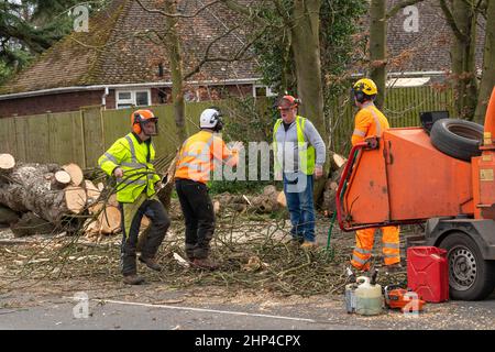 Brentwood, Großbritannien. 18th. Februar 2022. Brentwood Essex 18th Feb 2022 UK Wetter, Sturm Eunice; Straßen geschlossen und Stromleitungen wegen Sturm Eunice in Brentwood Essex Quelle: Ian Davidson/Alamy Live News Stockfoto