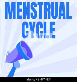 Schreiben mit Text Menstruationszyklus, Konzeptfoto Monatszyklus der Veränderungen in den Eierstöcken und Uterusfutter Illustration der Hand hält Megap Stockfoto