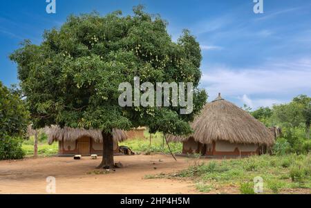Typisches afrikanisches Dorf, Uganda, Ostafrika Stockfoto