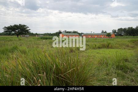 Typisches afrikanisches Dorf, Uganda, Ostafrika Stockfoto