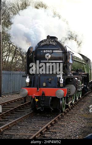 Neu gebaute Dampflokomotive A1 pacific 4-6-0 60163 Tornado bei einem Besuch in Barrow Hill 2009 Stockfoto