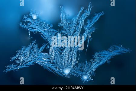 Blauer Hintergrund mit Silver Frost wie ein fliegender Drache auf dem Fenster. Gefrorenes Wasser auf dem Fenster erstellt odecoration Silber schöne Verzierungen. Stockfoto