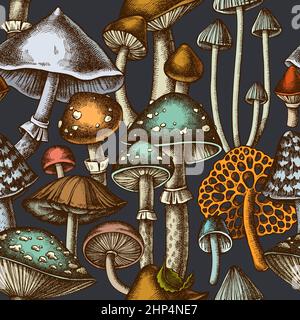 Wald Pilze nahtlose Muster Hintergrund-Design. Gravierte Ausführung. Von Hand gezogene Pilze. Stock Vektor