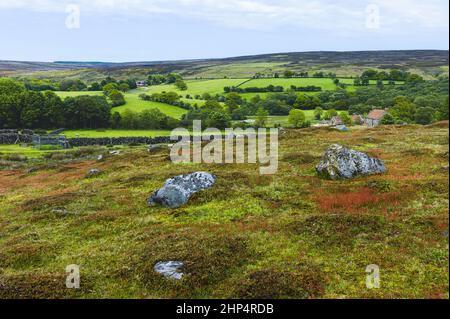 Blick über North Your Moors mit blühenden Gräsern, Baumwollgras, Bäumen und Heidekraut am hellen Morgen in der Nähe von Goathland, Yorkshire, Großbritannien. Stockfoto