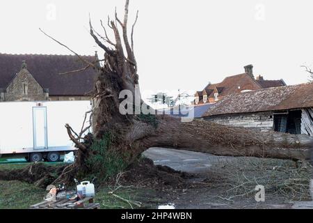 Waverley Lane, Elstead. 18th. Februar 2022. Hurrikan Force Winds trafen heute die Heimatländer, als Sturm Eunace Land machte. Sturmschaden in Elstead in der Nähe von Godalming in Surrey. Kredit: james jagger/Alamy Live Nachrichten Stockfoto