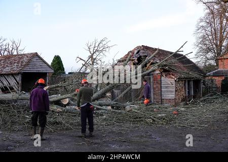 Waverley Lane, Elstead. 18th. Februar 2022. Hurrikan Force Winds trafen heute die Heimatländer, als Sturm Eunace Land machte. Sturmschaden in Elstead in der Nähe von Godalming in Surrey. Kredit: james jagger/Alamy Live Nachrichten Stockfoto