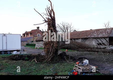 Waverley Lane, Elstead. 18th. Februar 2022. Hurrikan Force Winds trafen heute die Heimatländer, als Sturm Eunace Land machte. Sturmschaden in Elstead in der Nähe von Godalming in Surrey. Kredit: james jagger/Alamy Live Nachrichten Stockfoto