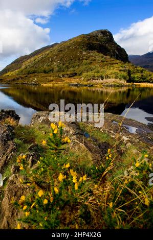 Eagles Nest, The Long Range, Upper Lakes, Killarney National Park, County Kerry, Irland Stockfoto