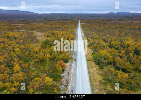 Luftaufnahme über leere veröstete Straße, die im Herbst/Herbst durch die Taiga führt, Härjedalen, Norrland, Schweden Stockfoto