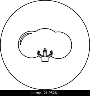 Baumwolle Blume Knospe Symbol im Kreis rund schwarz Farbe Vektor Illustration solide Umriss Stil Bild Stock Vektor