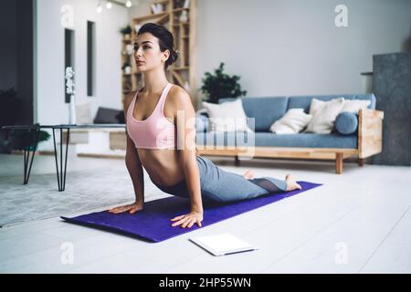 Fokussierte junge Sportlerin, die zu Hause Yoga praktiziert Stockfoto