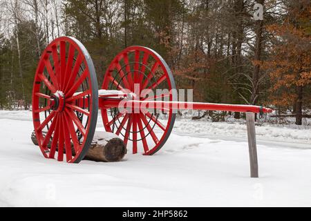 Grayling, Michigan - Ein großes Rad, das für den Transport von Baumstämmen verwendet wird, die im Hartwick Pines State Park ausgestellt sind. Der Park zeigt Protokolliergeräte vom 19th an Stockfoto