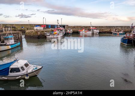 Die Boote dockten in Burnmouth Harbour, Schottland Stockfoto