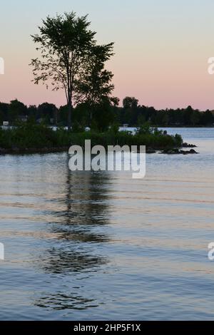 Bäume Silhouetten werfen Reflexionen auf Eugenia Lake bei Sonnenuntergang im Sommer Stockfoto