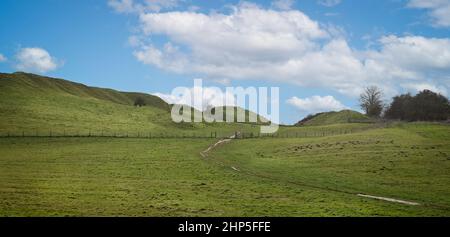 Maiden Castle eiserne Hügelfestung in der Nähe von Dorchester, Dorset, Großbritannien am 6. Februar 2022 Stockfoto