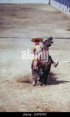 San Antonio Texas USA, 1990: Reiter und sein Pferd treten auf einem Charro-Festival in einer Arena im Süden von San Antonio auf.©Bob Daemmrich Stockfoto