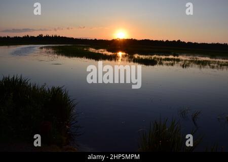 Leuchtend orangefarbener Sonnenuntergang am Horizont über dem Sturgeon Lake im Sommer Stockfoto