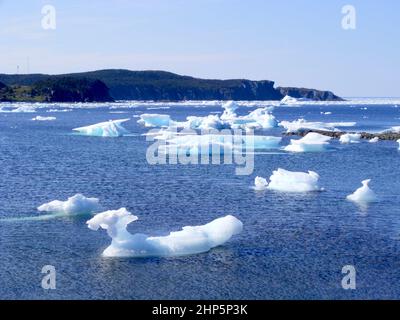 Eisbrocken schwimmen im Meer mit hohen Klippen am Horizont in der Nähe von Twillingate, Neufundland Stockfoto