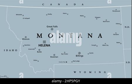 Montana, MT, graue politische Landkarte, US-Bundesstaat, Big Sky Country Stock Vektor