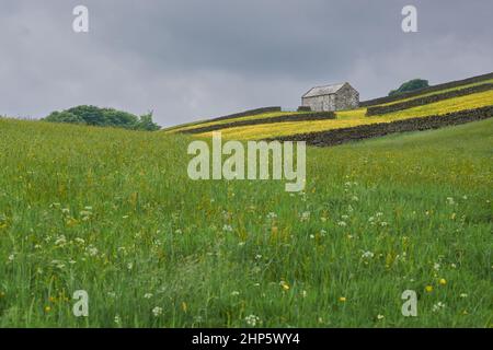 The Barn On The Hill Stockfoto