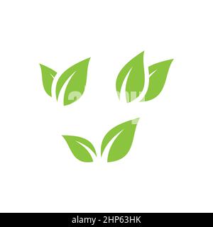 Blatt, lässt grüne Vektorsymbole eingestellt Stock Vektor