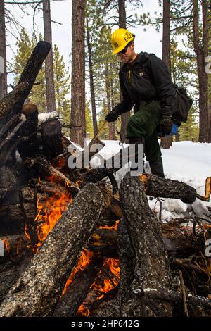 Verdi, Usa. 15th. Februar 2022. Dylan Todd arbeitet auf einem brennenden Holzhaufen. Der U.S. Forest Service, der als Teil der Waldbewirtschaftung einen vorgeschriebenen Brand zur Reduzierung der Brennstofflast durchführt. Kredit: SOPA Images Limited/Alamy Live Nachrichten Stockfoto