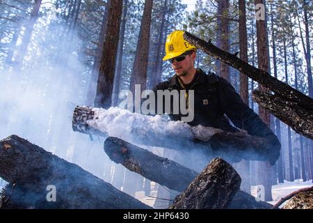 Verdi, Usa. 15th. Februar 2022. Dylan Todd bewegt einen mit Eis bedeckten Baumstamm. Der U.S. Forest Service, der als Teil der Waldbewirtschaftung einen vorgeschriebenen Brand zur Reduzierung der Brennstofflast durchführt. Kredit: SOPA Images Limited/Alamy Live Nachrichten Stockfoto