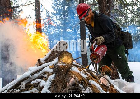 Verdi, Usa. 15th. Februar 2022. Christian Wooster arbeitet daran, einen Holzstapel anzuzünden. Der US-Forstdienst führt in den Wintermonaten einen vorgeschriebenen Brand durch, um die Treibstoffbelastung im Rahmen der Waldbewirtschaftung zu reduzieren. (Foto von Ty O'Neil/SOPA Images/Sipa USA) Quelle: SIPA USA/Alamy Live News Stockfoto